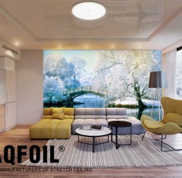 Custom Printed Wall Mural. Reflective Stretch Ceiling