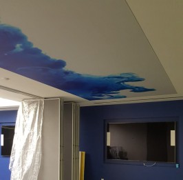 Printed Backlit Stretch Ceiling